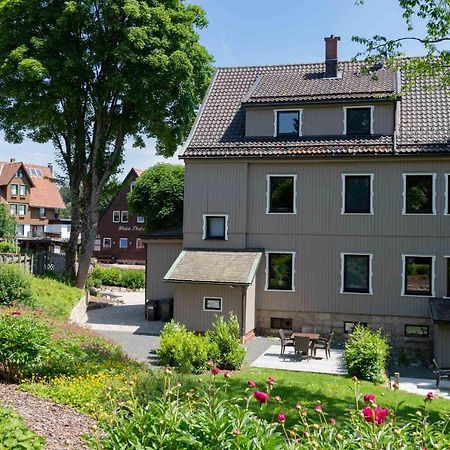 Strandberg'S Harzchalet Braunlage Buitenkant foto