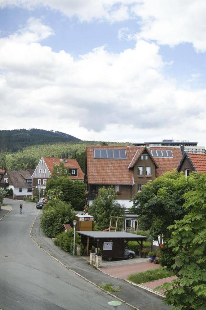 Strandberg'S Harzchalet Braunlage Buitenkant foto